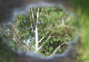 A Clear Reflection