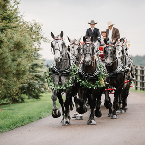 How to Enhance Your Guests’ Experience