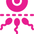 x20.png