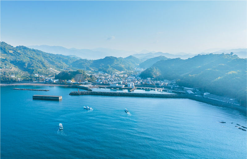 和歌山県湯浅町のしらす屋前福