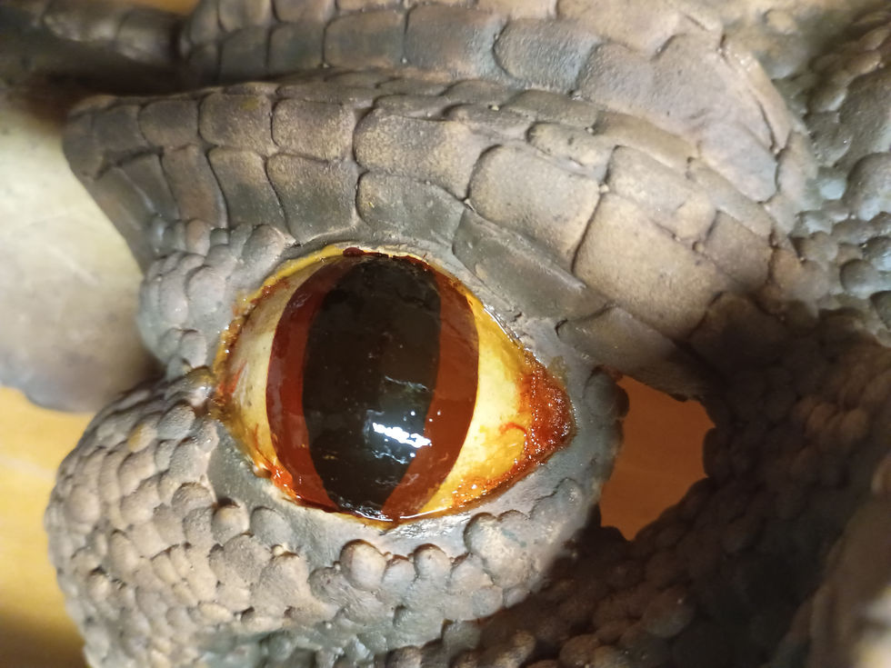 13 - Eye Detail