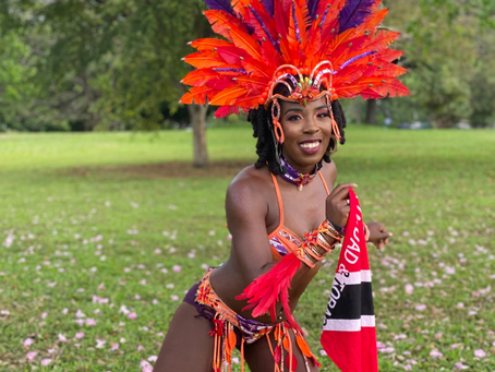 Celebrating Caribbean American Heritage on WHUT-TV!