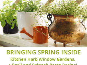 Bringing Spring Inside the Kitchen: Herb Garden Ideas