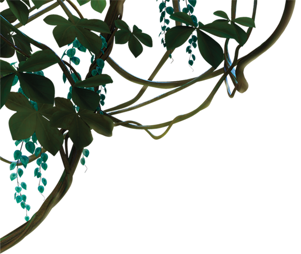 fgLayer-topLeft-vines_2x.png