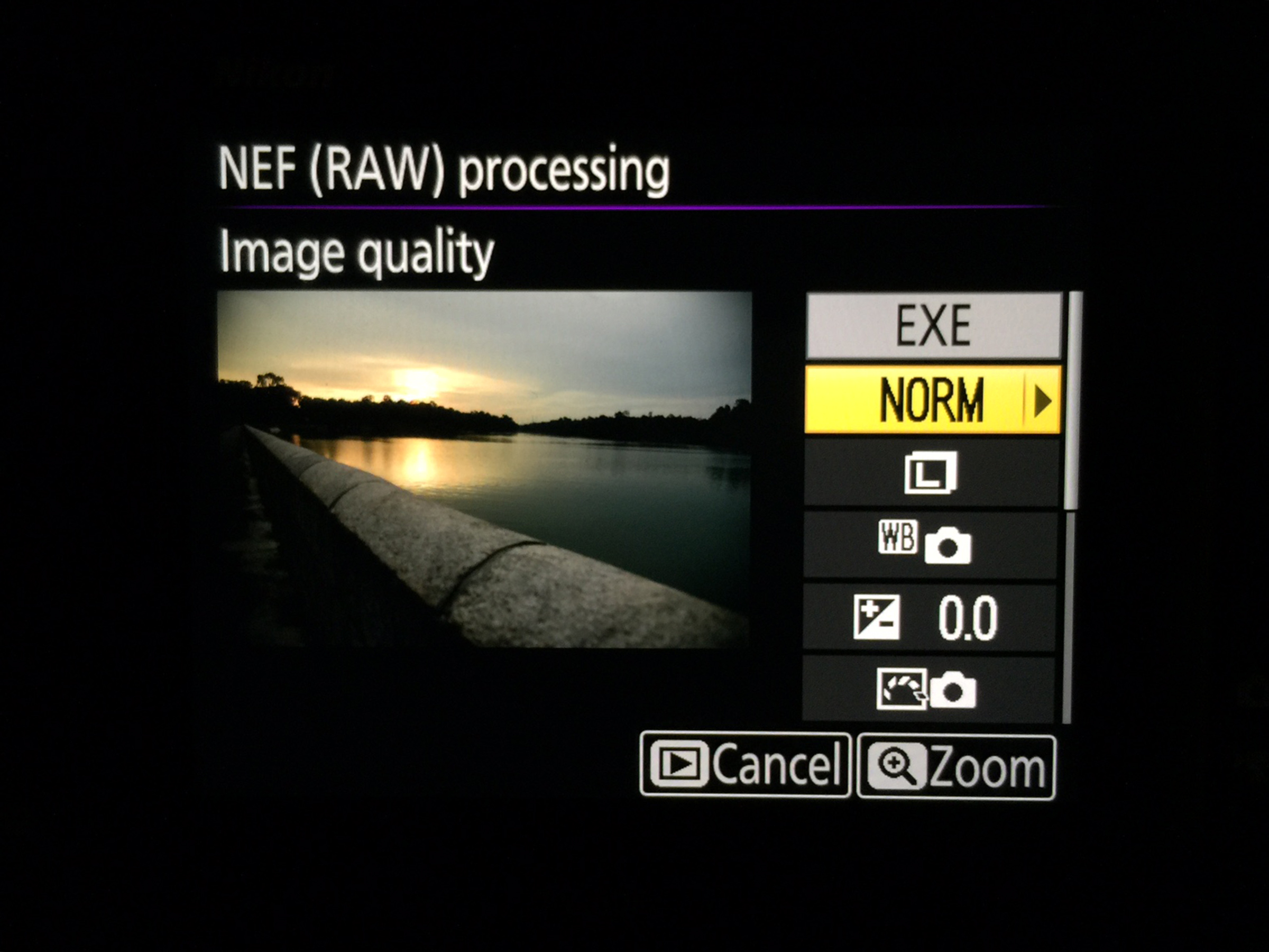 nikon raw to jpeg converter nikon raw to jpeg converter
