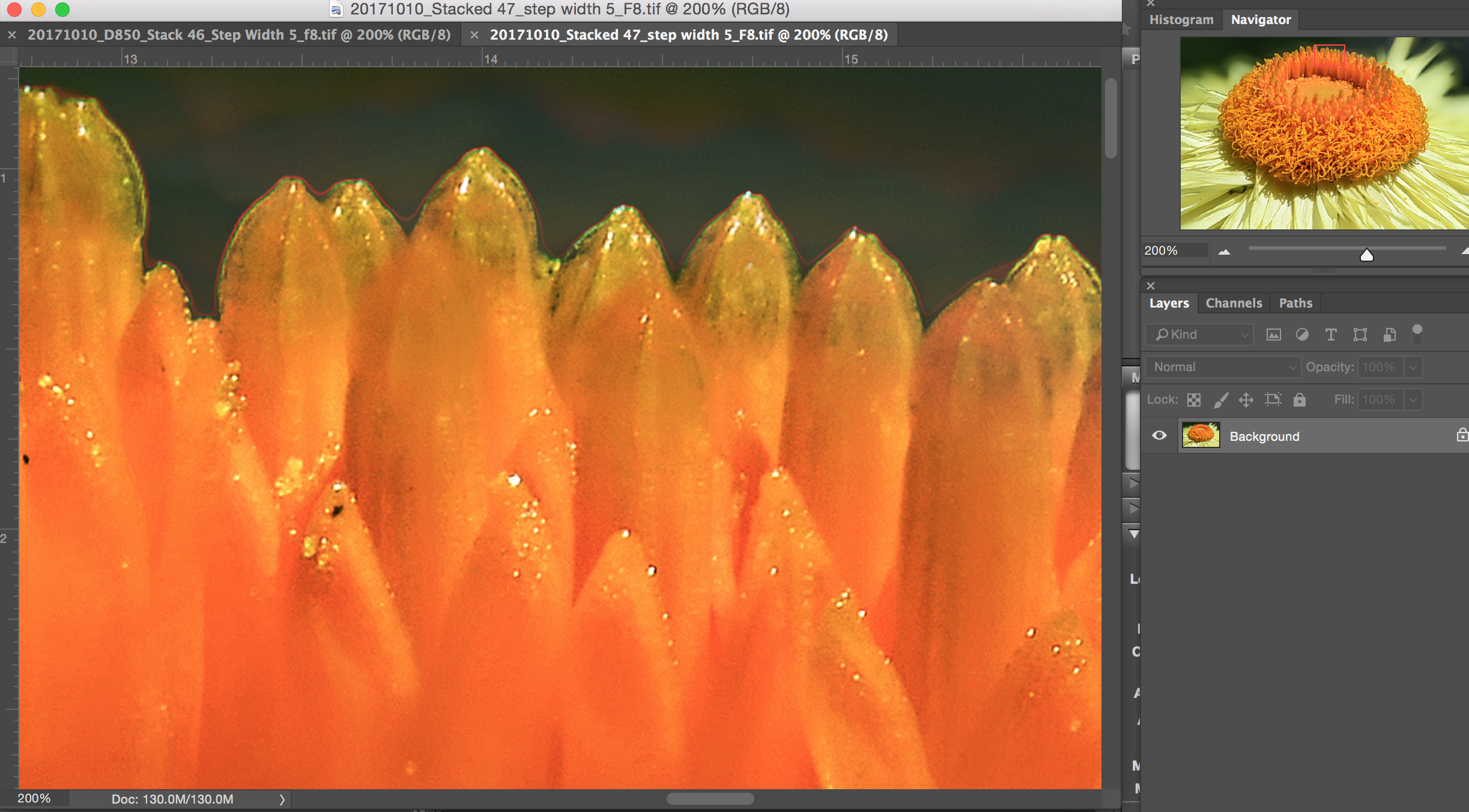 helicon focus vs photoshop cs6 helicon focus vs photoshop cs6
