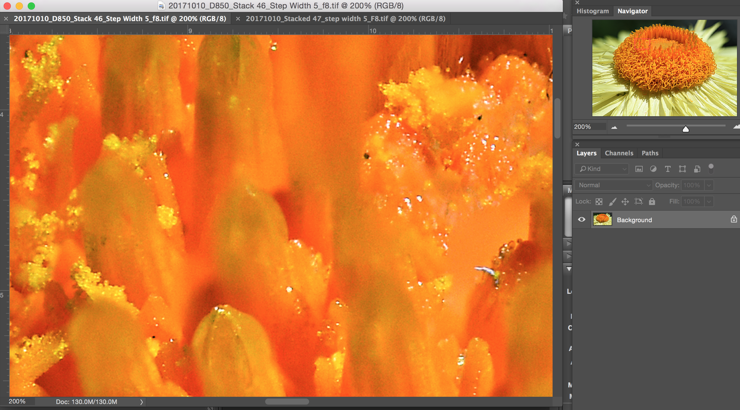 helicon focus vs photoshop helicon focus vs photoshop