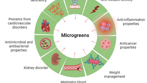 OrVana Paper Summary: Microgreens: Nutritional Powerhouses and Their Health Benefits