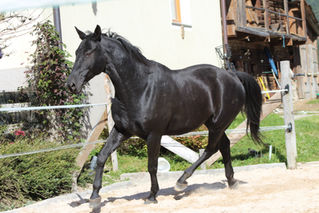 Freiheit