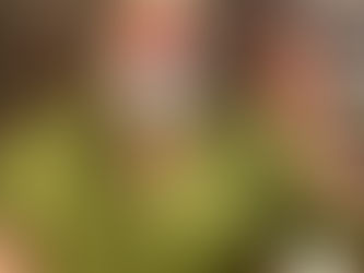 Red Nose Day at Dogwood Village