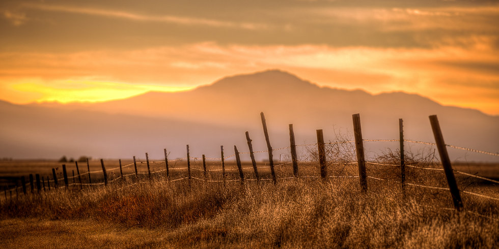 AdobeStock_210494348 (2).jpeg