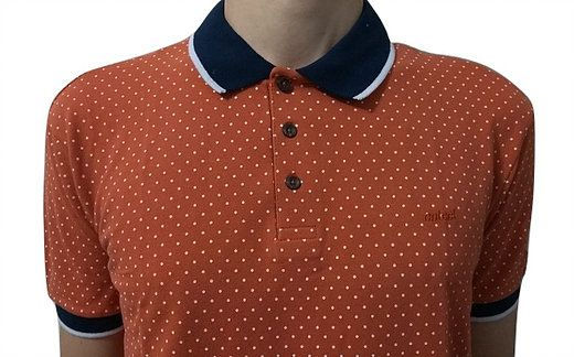 Miniatura: Camisa Polo Colcci Poá