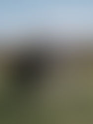 From Presence to Performance: The Next Evolution of Athlete Partnerships