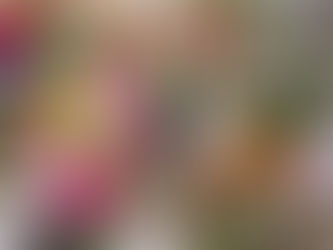 Why we Should all be Supporting UK-grown, Seasonal Flowers.