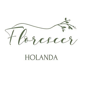 Florescer Holanda