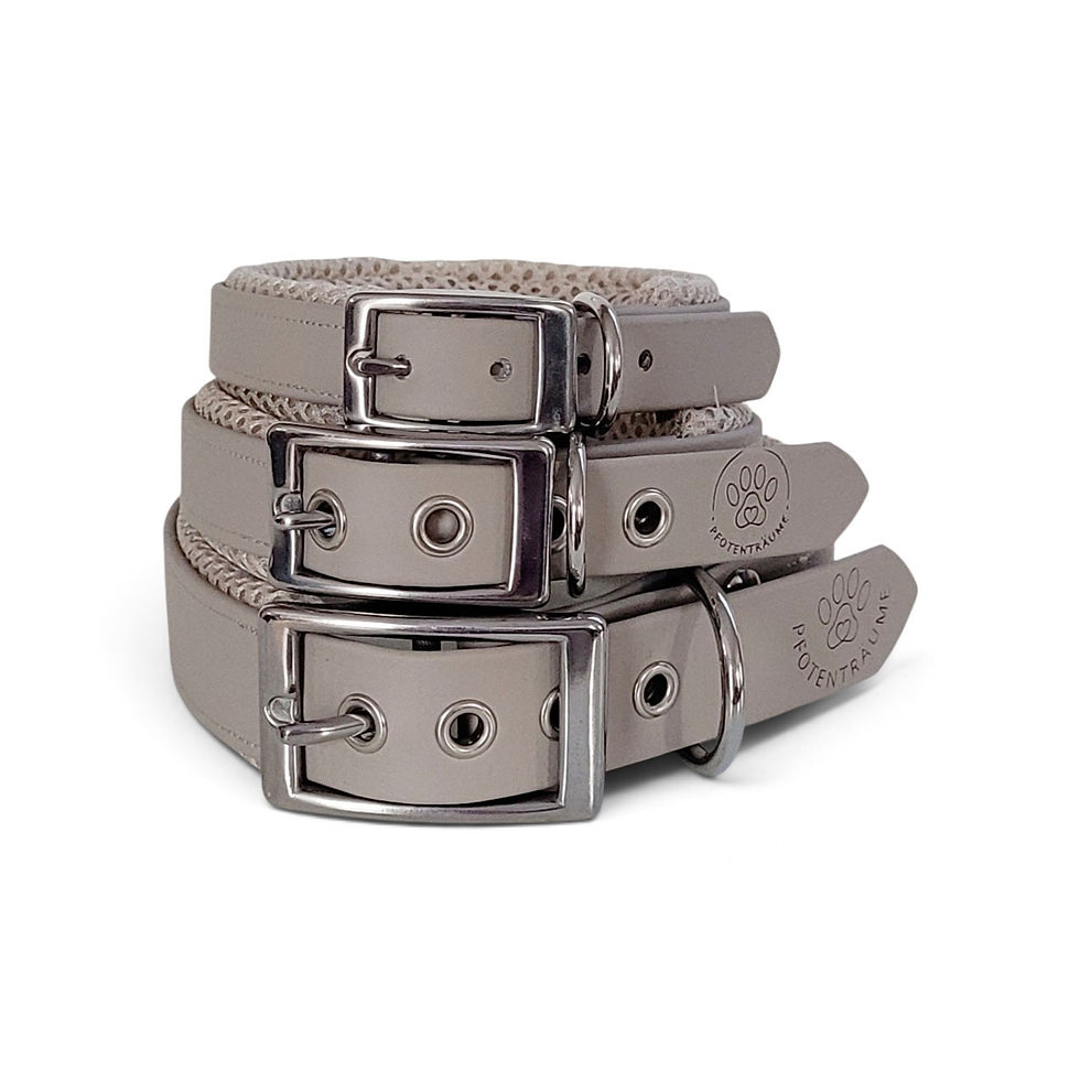 Miniaturbild: Halsband "Classic" BEIGE  Grösse XS-L