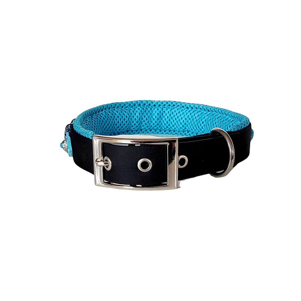 Miniaturbild: Biothane Halsband "Picadilly Circus" Grösse S - M