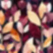 CreamyPlum