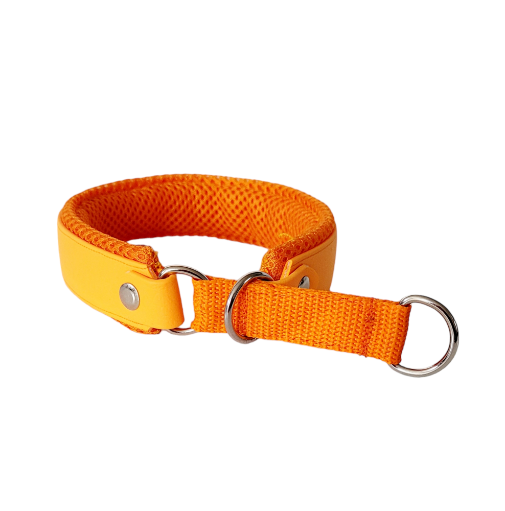 Halsband "Classic" Grösse M + L (Zug-Stopp)