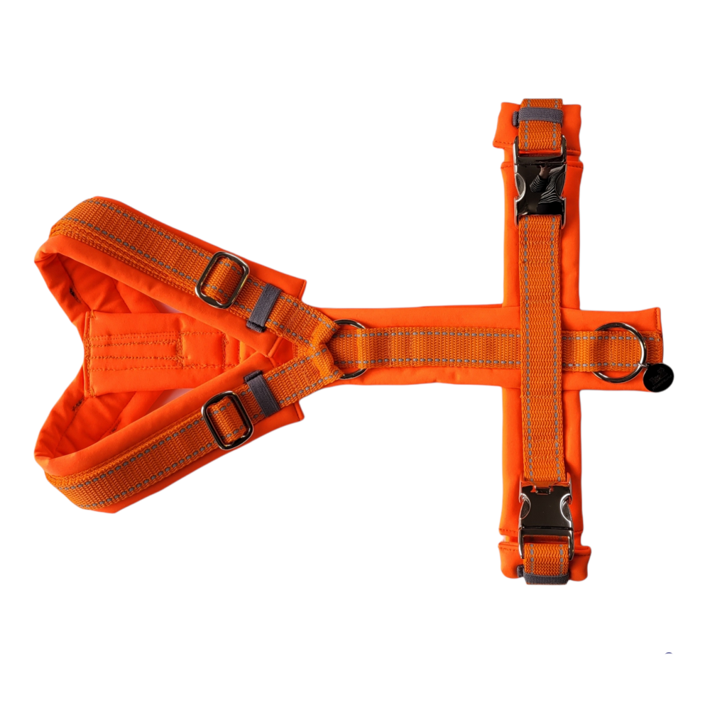 Hundegeschirr "Reflektierend Orange"