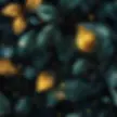 GoldenLeaves