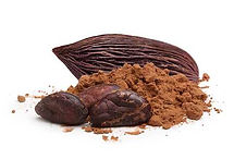 ALTEO GROUPE poudre chocolatée