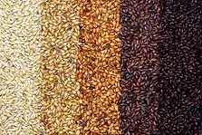 MALT EXPORT