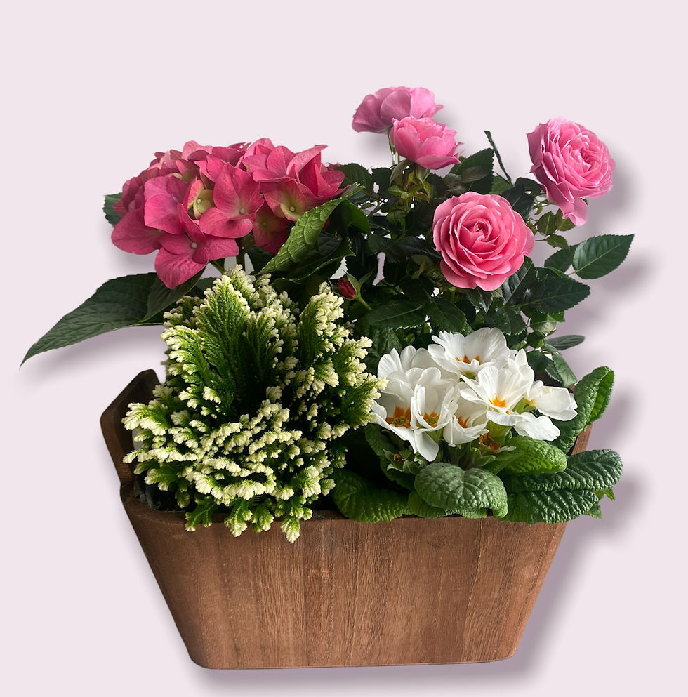 Mothers Day Planted Trug