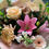 Thumbnail: Apricot Blush Gift Box
