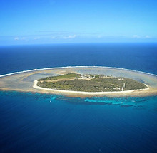 Lady Elliot Island.jpeg