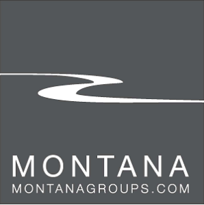 MT groups logo resized