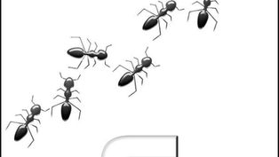 Audio Candy, a Spotify Playlist