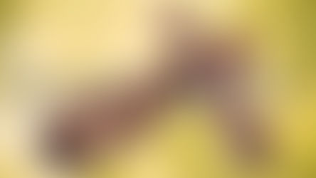 Encanto Tropical - Mix 1