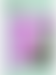 21/11/24 CONCERTO SANTA ICÍA 2024