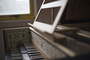 CSMV_9477.jpg