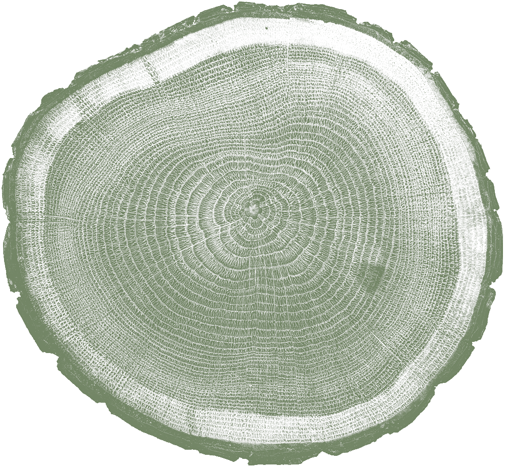 TreeRing_001_Sage_788567_v2_Web.png