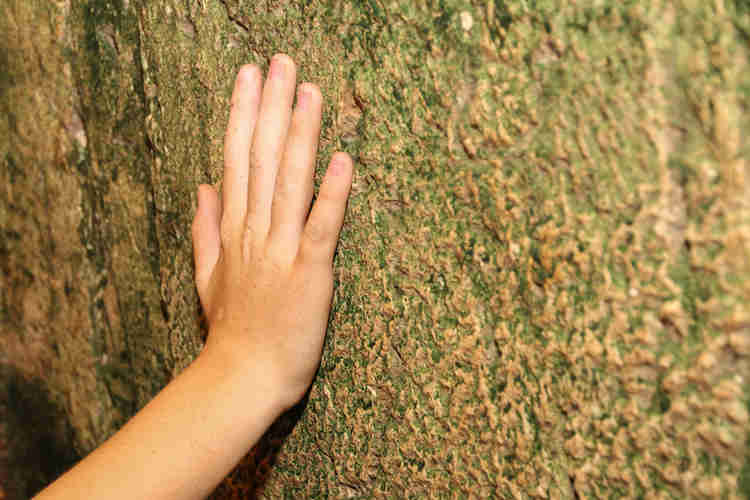 סיון גונן, יועצת קון מארי מוסמכת מסבירה לנו כמה בטחון ושלווה נותן לנו הבית שלנו.