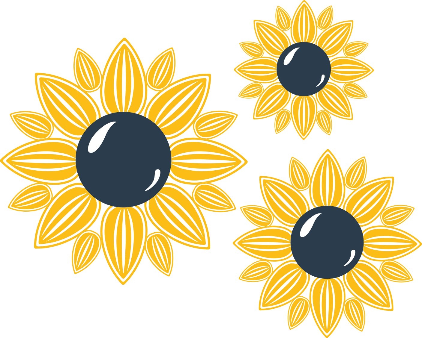 Writer: Sunshine Report