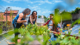 Nourishing and Natural - Community Gardens!