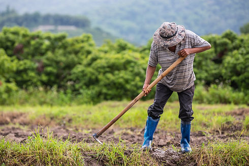 male-farmer-who-is-using-shovel-dig-soil-his-rice-fields.jpg