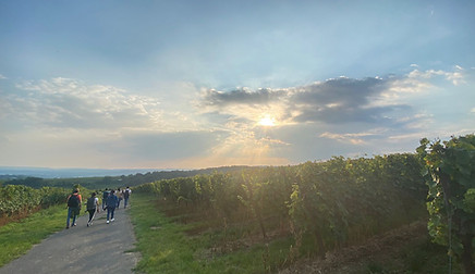 WhatsApp Image 2021-09-22 at 10.19.18 (2).jpeg