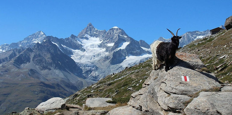 la-randonnee-des-5-lacs-featured-1200x480.jpg