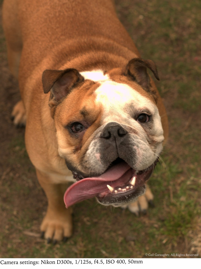 Winnie can taste the weekend