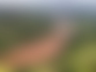 Professor explica como seguradoras ajudam em tragédias como a de Brumadinho