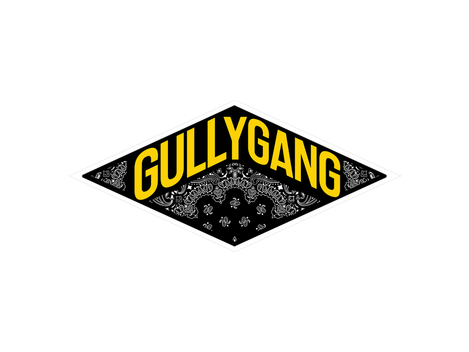 GULLY GANG