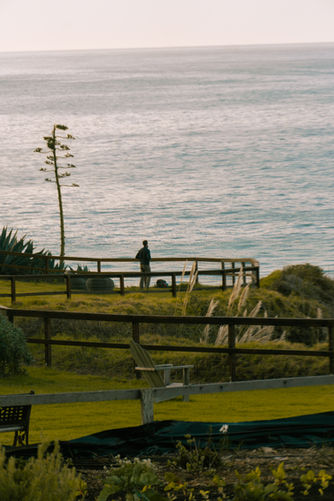 Urban Nature & Landscape Photography