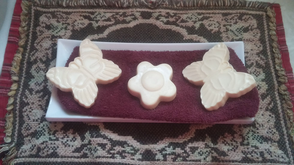 Butterflies and a flower