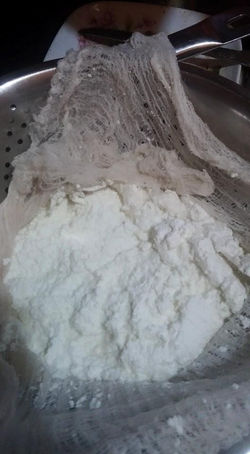 Goat Cheese