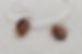 bedbugs-on-a-bed-sheet-a2d2b.jpg