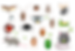 source-20_edited.png